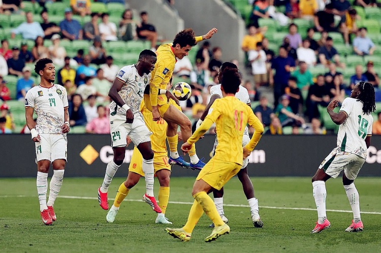 库拉索世界杯大名单：荷兰四队平均年龄27.6岁，艾德沃卡特五后卫保底